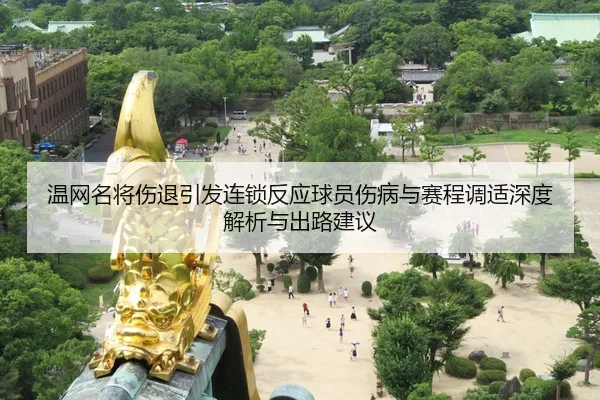 wen-wang-ming-jiang-shang-tui-yin-fa-lian-suo-fan-ying-qiu-yuan-shang-bing-yu-sai-cheng-tiao-shi-shen-du-jie-xi-yu-chu-2-792.jpg